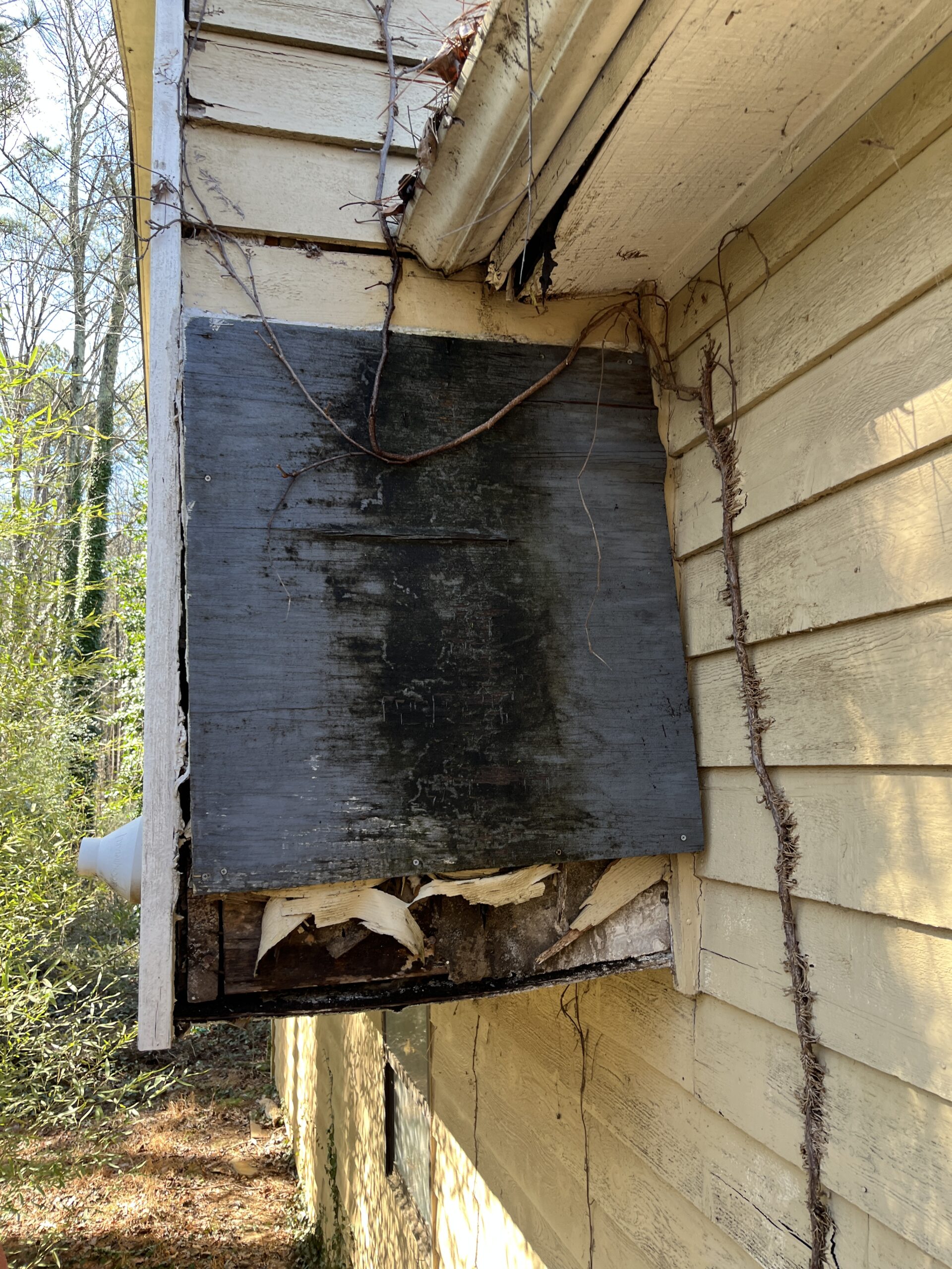 Cracked and Loose Siding Repair