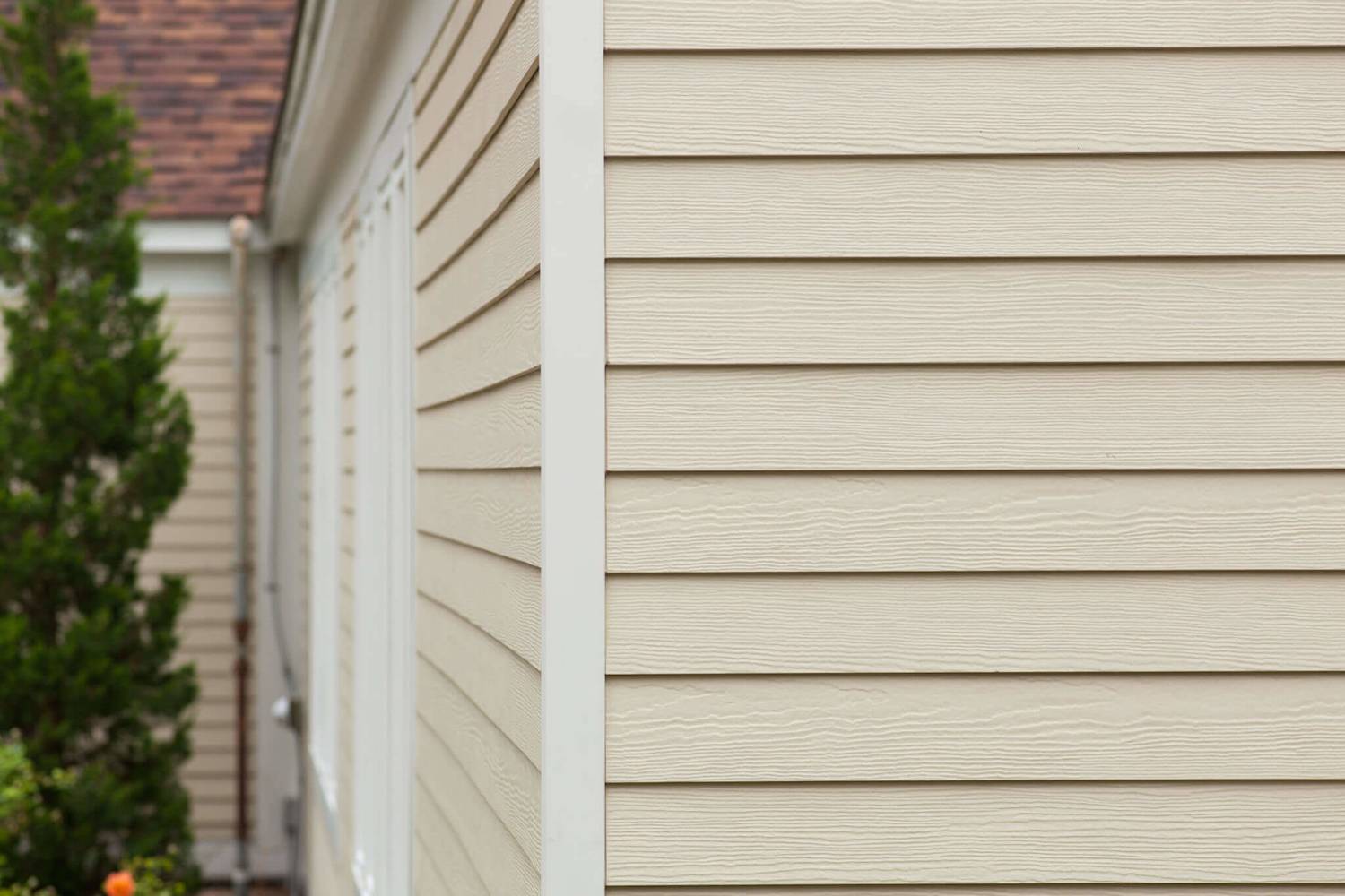 Vinyl Siding Type
