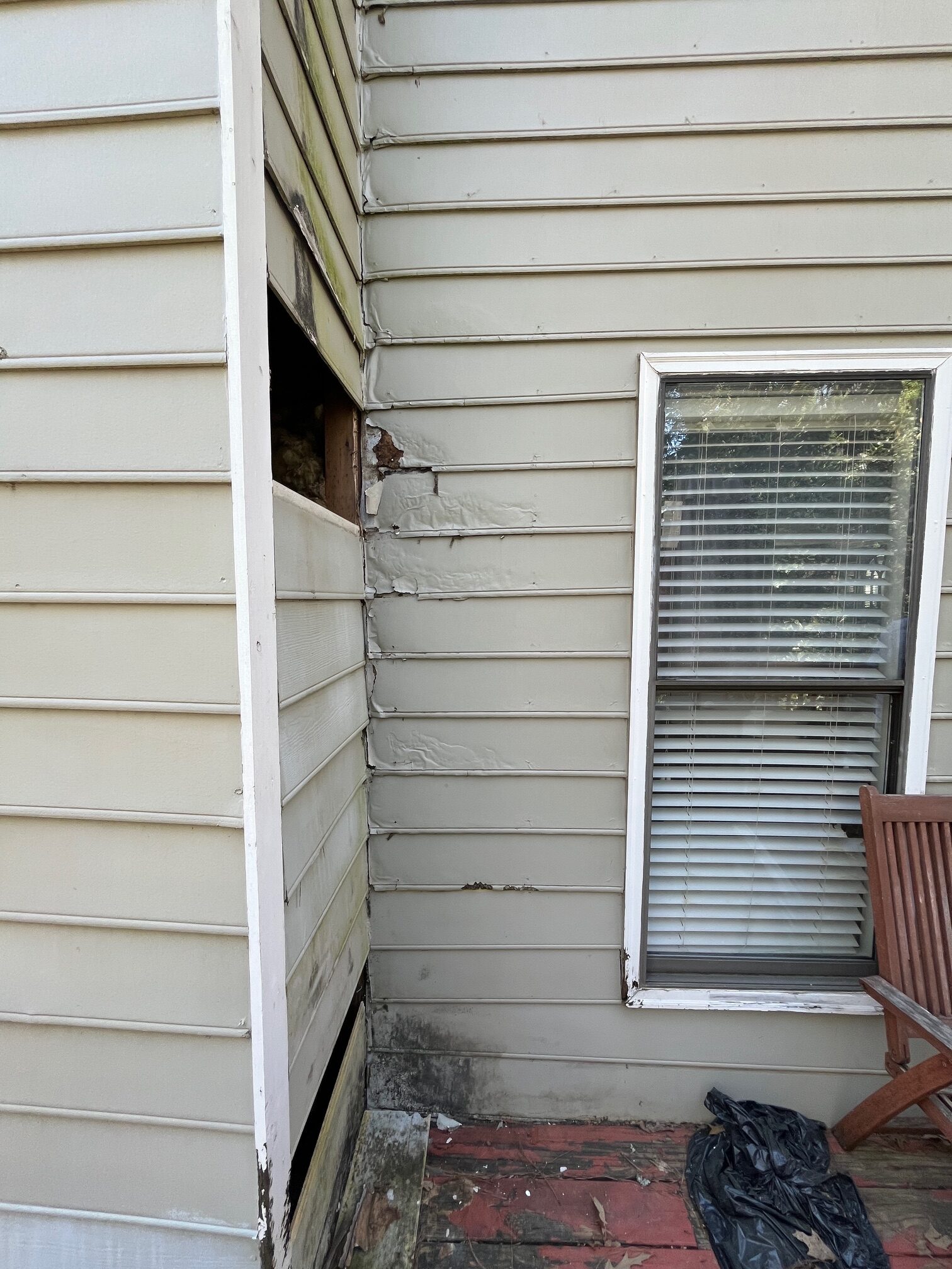 Wood Rot